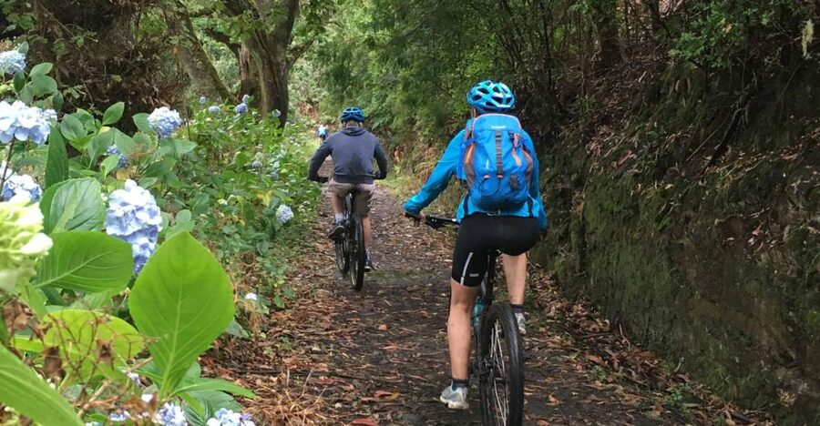 Madeira Easy Levada Biking Tour – Scenic & Relaxed - Ocean views without a viewpoint scramble