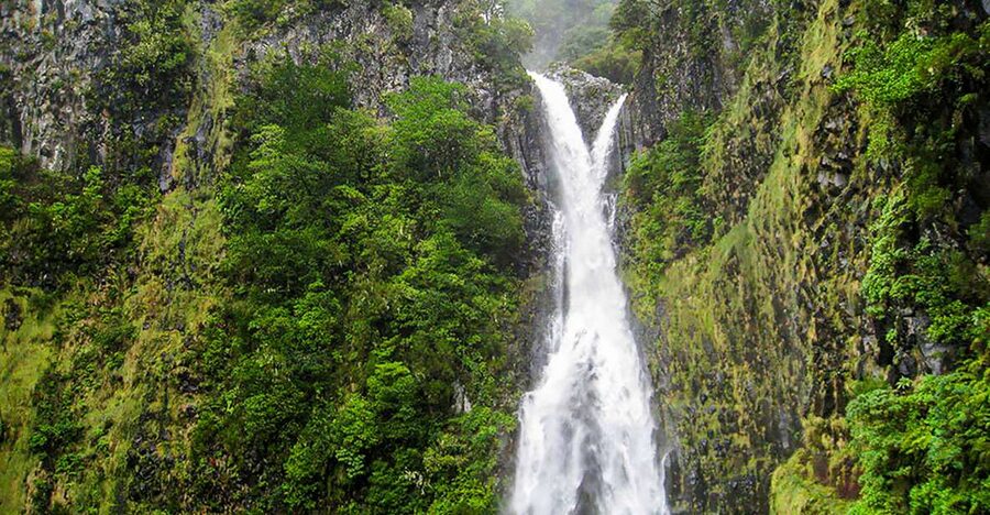 Madeira: Enjoy a Guided Levada Walk in the Rabaçal Valley - Key points to know before you book