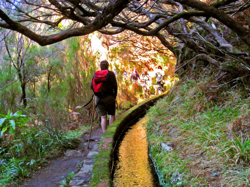 Madeira: Enjoy a Guided Levada Walk in the Rabaçal Valley - How difficult is the levada walk?
