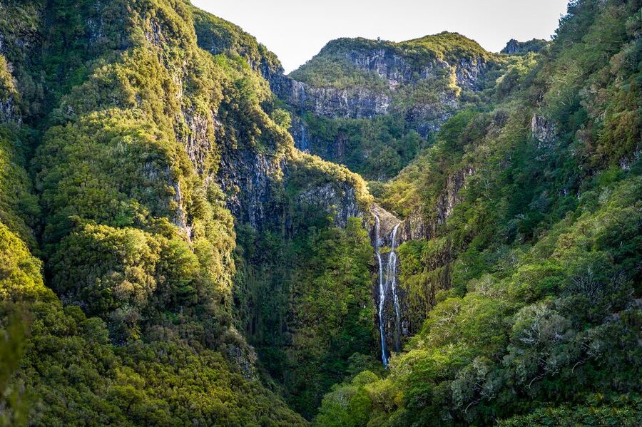 Madeira: Enjoy a Guided Levada Walk in the Rabaçal Valley - Crowds, weather, and route changes