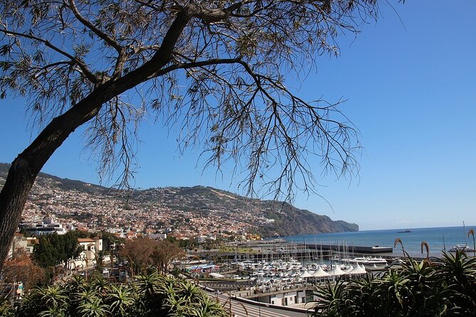 Madeira Essence Half Day Tour for Cruises - Old Funchal brings the tour back to street level