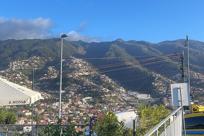 Madeira Essence Half Day Tour for Cruises - Guides and language support matter here
