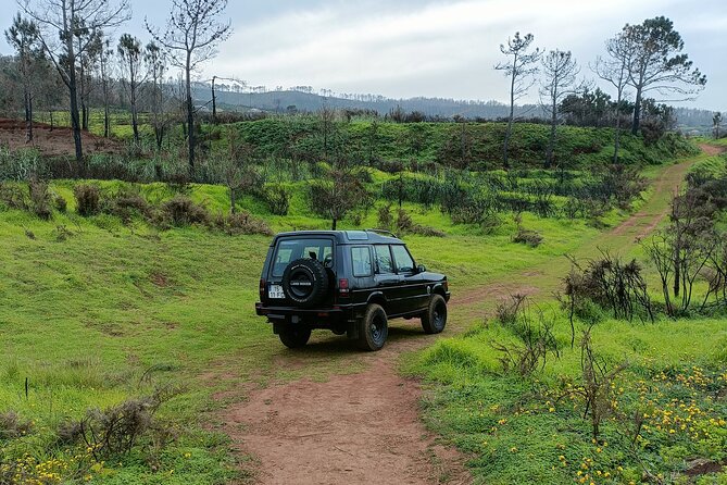 Madeira: Experiência 4WD Skywalk para Seixal Porto Moniz, Fanal - Why this route works so well in one day