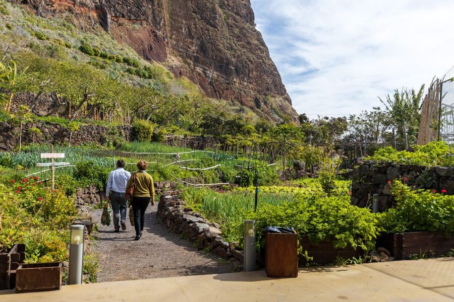 Madeira: Faja dos Padres Private Sightseeing Tour - Weather, clothing, and practical limits