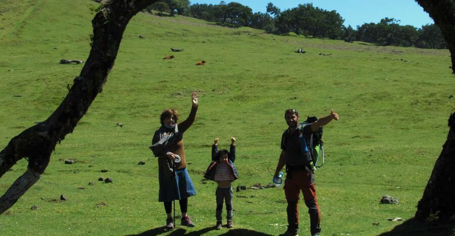Madeira: Fanal Forest Guided Hiking Tour - A 105-minute walk beneath centennial trees