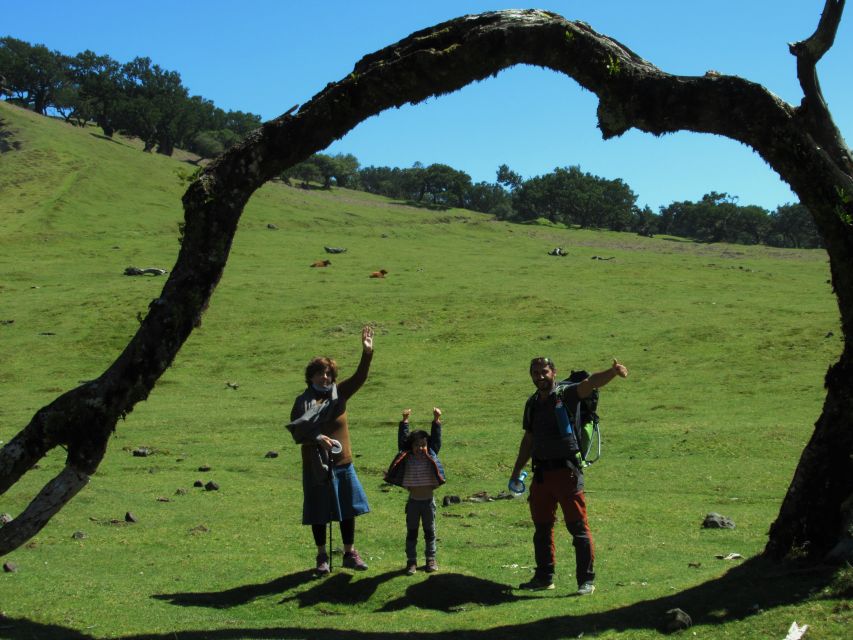 Madeira: Fanal Forest Guided Hiking Tour - The 75-minute ride into Madeira’s high country