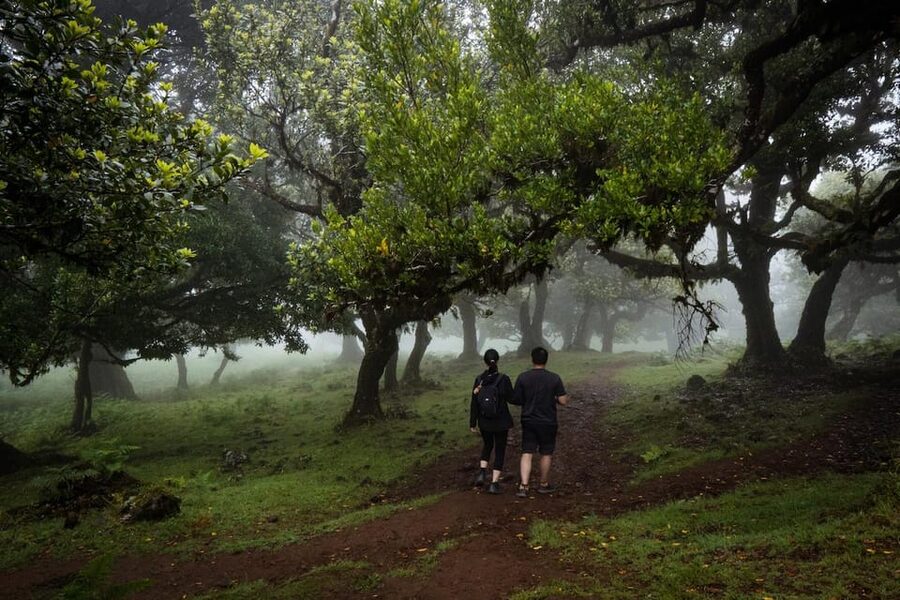 Madeira : Full Day Adult-only west 4x4 Tour - Ponta do Sol and the climb through banana country