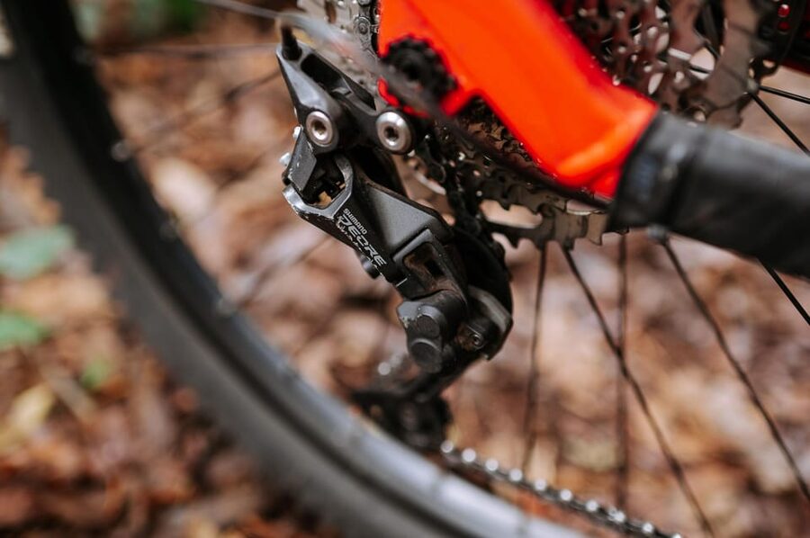 Madeira: Full Day E-Bike Rental - Local advice without a guide
