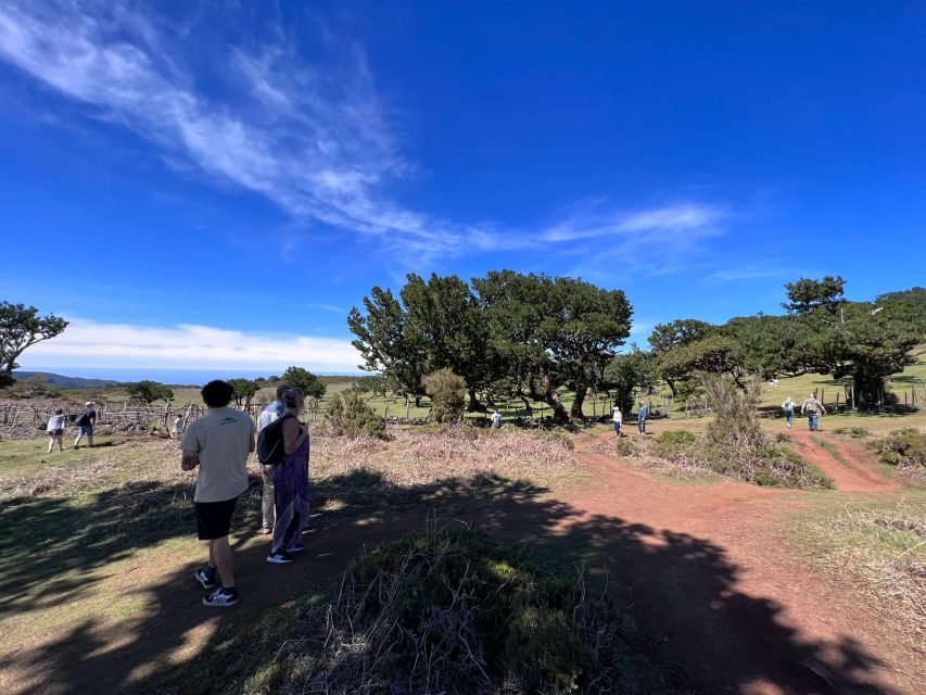 Madeira: Full-Day Jeep Tour with Guide and Pickup - Porto Moniz: two hours for pools and lunch
