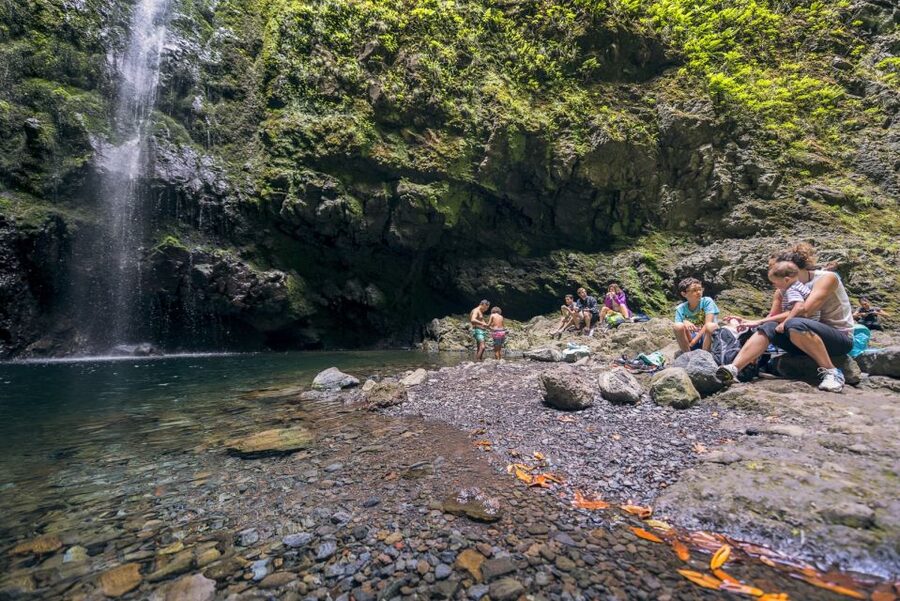 Madeira: Full-Day Laurel Forest Guided Walking Tour - Four hours beside the levada