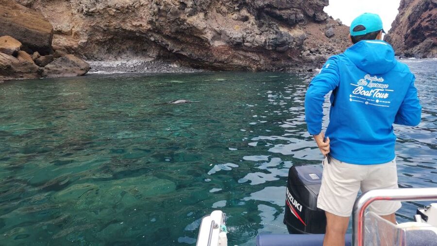 Madeira: Full-Day of Activities in Ponta de São Lourenço - Does $85 offer good value?