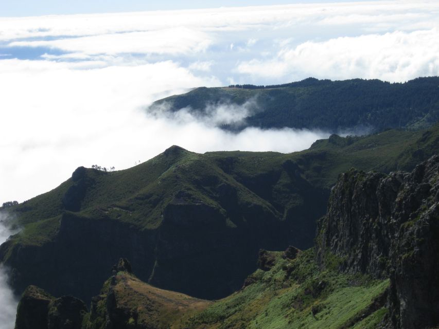 Madeira: Full-Day Pico Ruivo / Achada do Teixeira Walk - Flora, fauna, and Madeira’s old heather forest