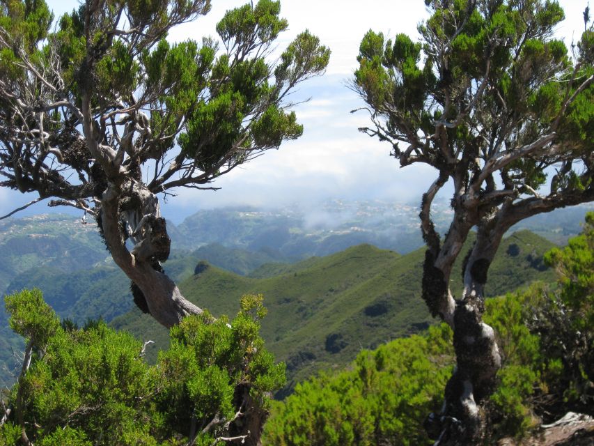 Madeira: Full-Day Pico Ruivo / Achada do Teixeira Walk - What to pack for a six-hour mountain day