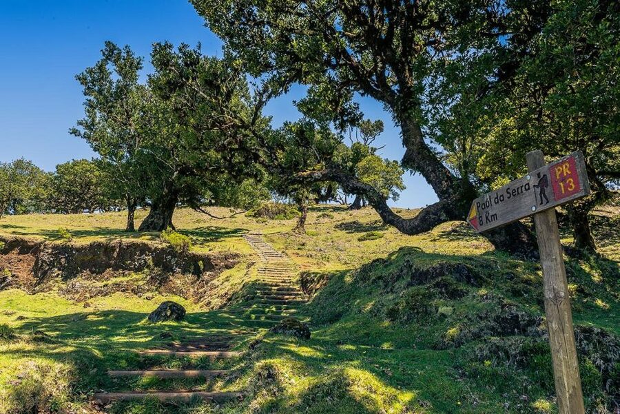 Madeira: Full-Day Porto Moniz Jeep Tour - Why this western Madeira route works
