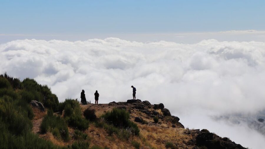 Madeira: Full Day Private Jeep Tour East or West - One full day, two very different Madeiras