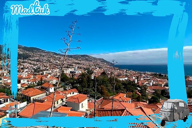 Madeira Funchal City Historical Tuk Tuk Guided Tour by MadTuk - Quinta das Cruzes and the story of Madeira’s discovery