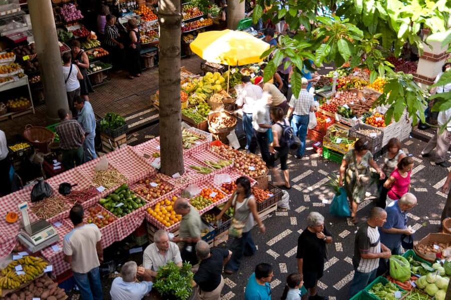 Madeira: Funchal's Eco Private City Tour - The Guide Makes the Difference
