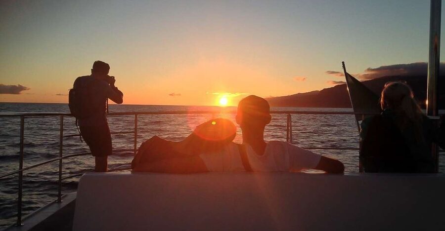 Madeira: Funchal Sunset Tour by Catamaran - The Cabo Girão stop and Atlantic swim