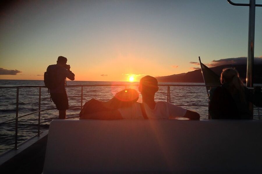 Madeira: Funchal Sunset Tour by Catamaran - Cruising Madeira’s south coast at dusk