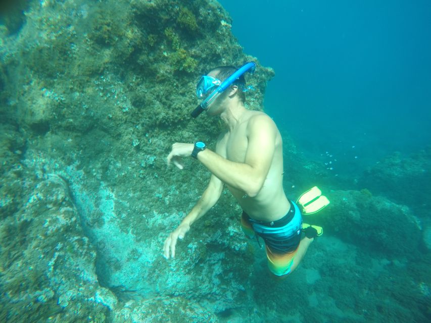 Madeira: Garajau Nature Reserve Kayak and Snorkel Tour - From the Cristiano Ronaldo statue to the open sea