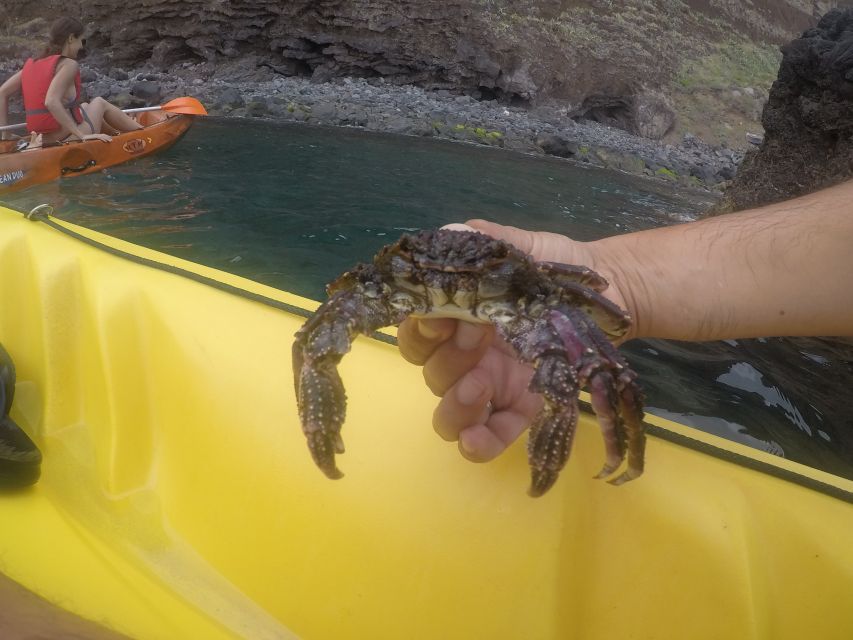 Madeira: Garajau Nature Reserve Kayak and Snorkel Tour - Is $41 good value for three hours?