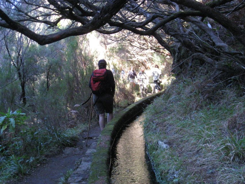 Madeira: Guided Full-Day Rabaçal Walk - Starting above Rabaçal on Paúl da Serra