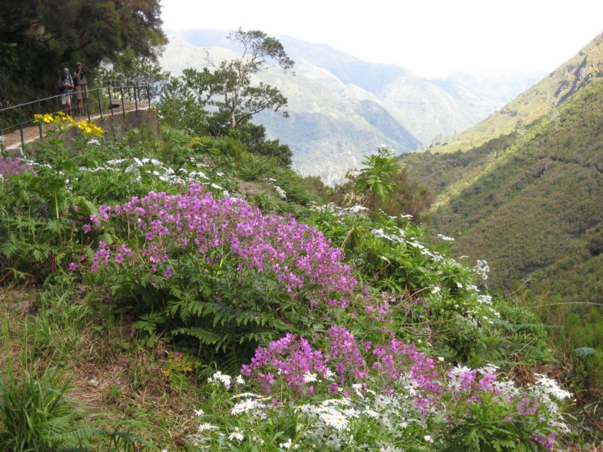Madeira: Guided Full-Day Rabaçal Walk - Is the $53 price good value?