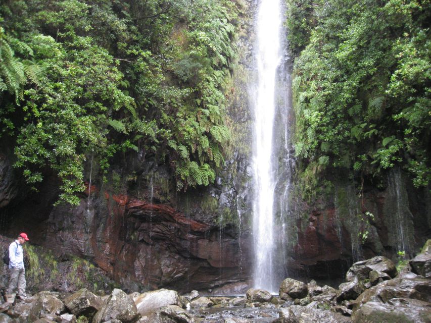 Madeira: Guided Full-Day Rabaçal Walk - Should you book the Rabaçal walk?