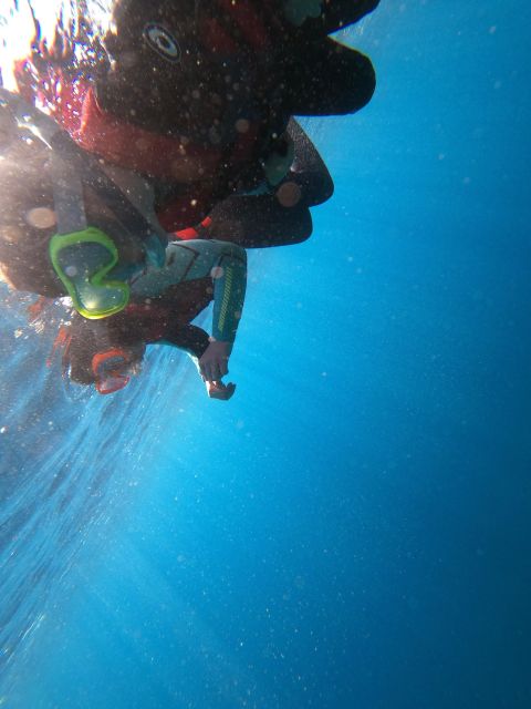 Madeira: Half-Day Coasteering Tour - Choosing your cliff jump, from 1 to 10 meters