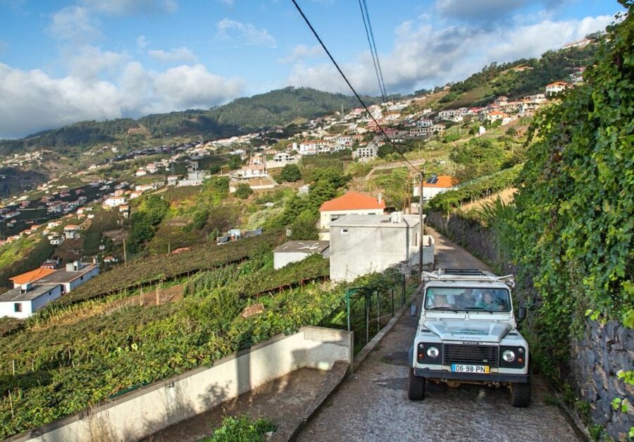 Madeira: Half-Day Nun's Valley and Sea Cliff Tour - Câmara de Lobos and the return to Funchal