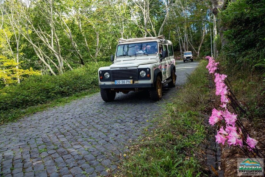 Madeira: Half-Day Nun's Valley and Sea Cliff Tour - Why this half-day Jeep tour works
