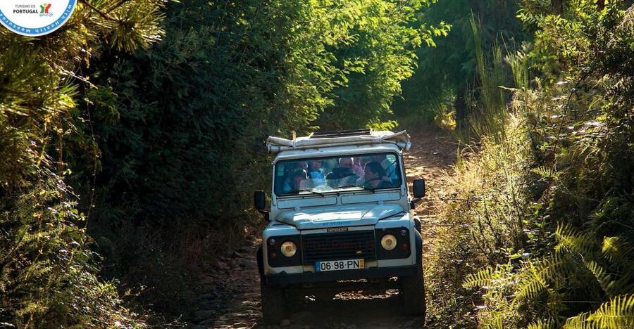 Madeira: Half-Day Nun's Valley and Sea Cliff Tour - The secret stop and first mountain views