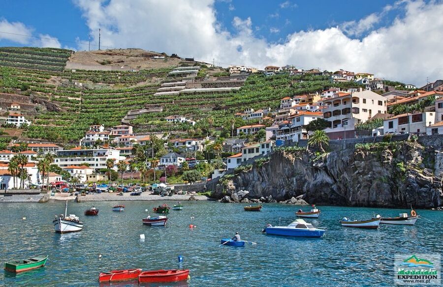 Madeira: Half-Day Nun's Valley and Sea Cliff Tour - A local bar stop with a taste of island life