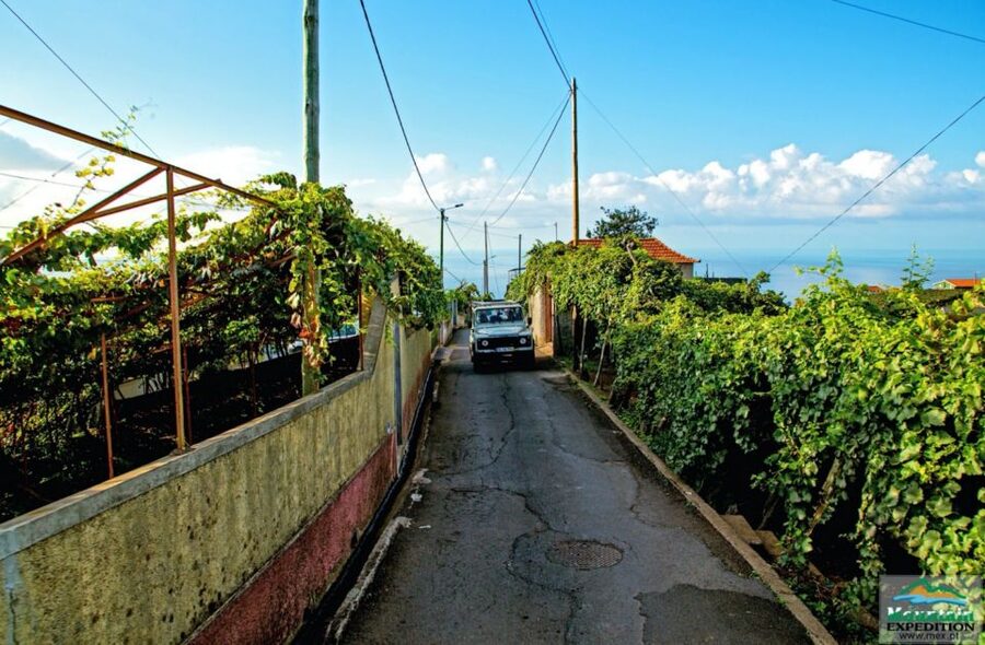 Madeira: Half-Day Nun's Valley and Sea Cliff Tour - Climbing through Estreito de Câmara de Lobos
