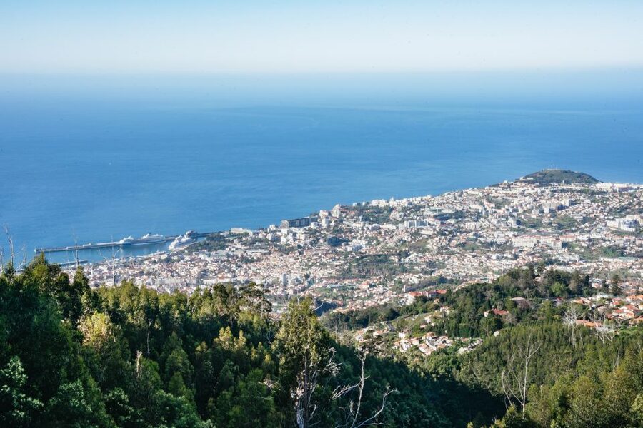 Madeira: Half-Day Pico Arieiro Jeep Tour - Santo da Serra and the taste of Madeira