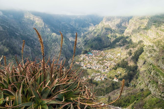 Madeira Half Day Small-Group Tour from Funchal - Monte and the famous toboggan option