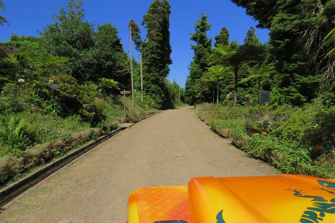 Madeira Highlights: Guided 4-Hour Tour from Funchal - Santo da Serra brings the old-road character