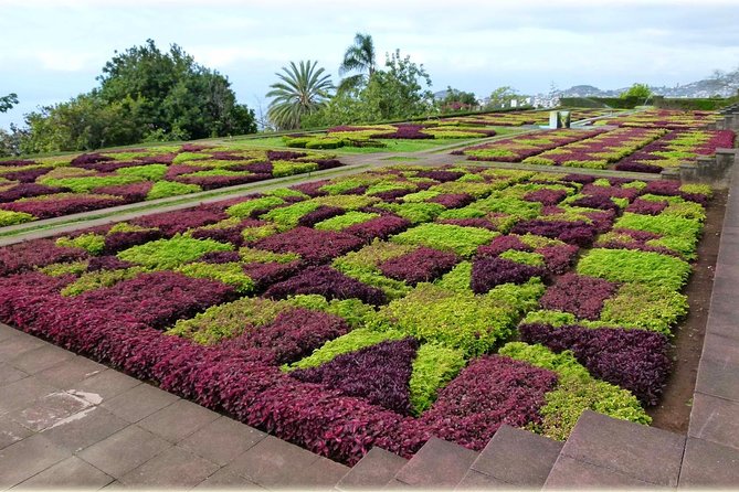 Madeira Highlights: Toboggan, Garden & Cable Car (All-Inclusive) - Timing, queues, and the best way to plan the day