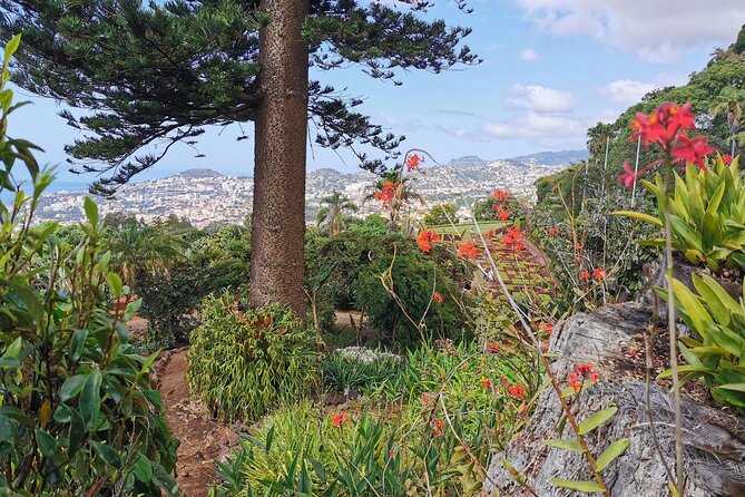 Madeira Highlights: Toboggan, Garden & Cable Car (All-Inclusive) - Who will enjoy this Madeira outing most?