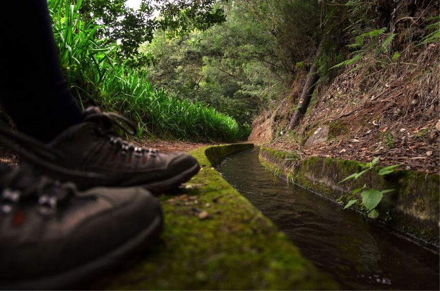 Madeira Island: Caldeirão Verde Levada Walk - Starting the day with hotel pickup