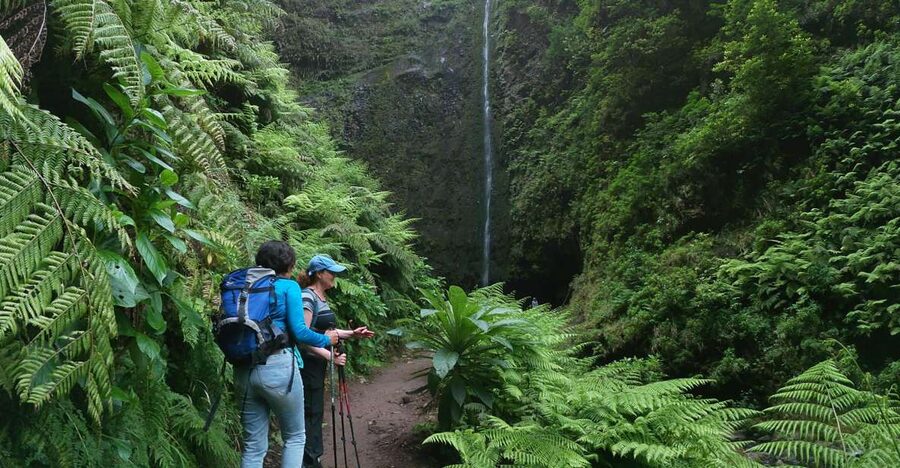 Madeira Island: Caldeirão Verde Levada Walk - How difficult is the 4.5-hour hike?