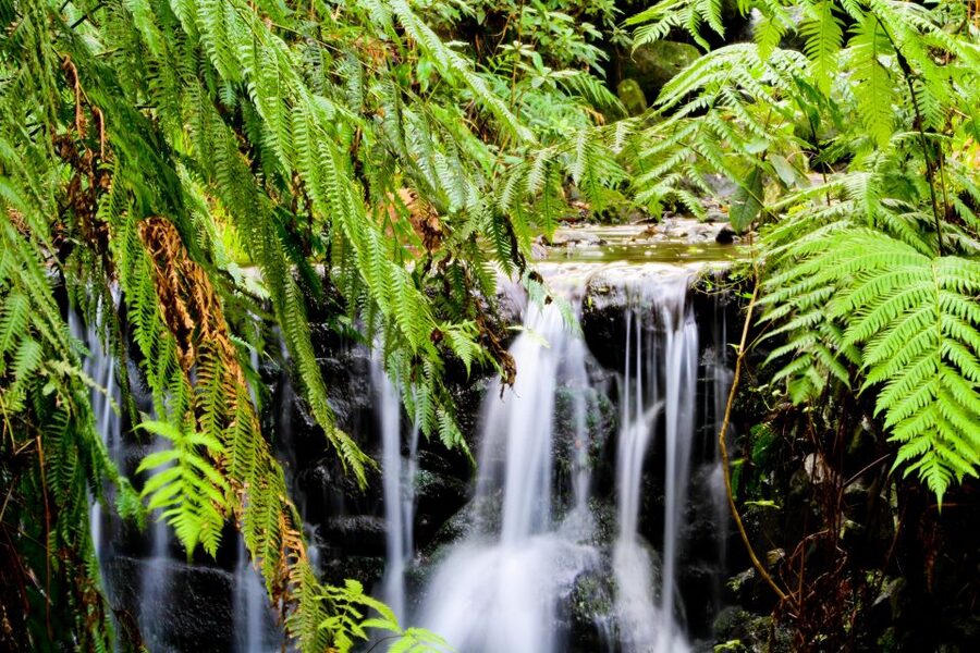 Madeira Island: Caldeirão Verde Levada Walk - What to bring, and what not to bring
