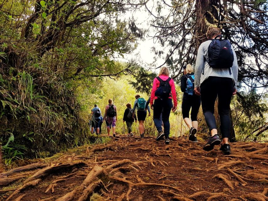 Madeira Island: Caldeirão Verde Levada Walk - Guides, safety, and the group experience