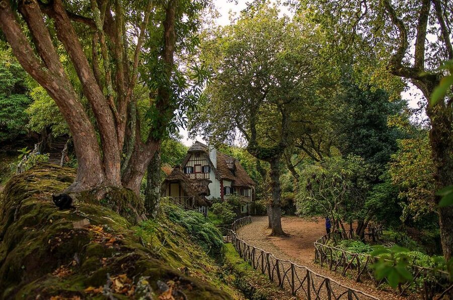 Madeira Island: Full-Day Guided Tour of Eastern Madeira - Ponta do Rosto and Caniçal’s eastern edge