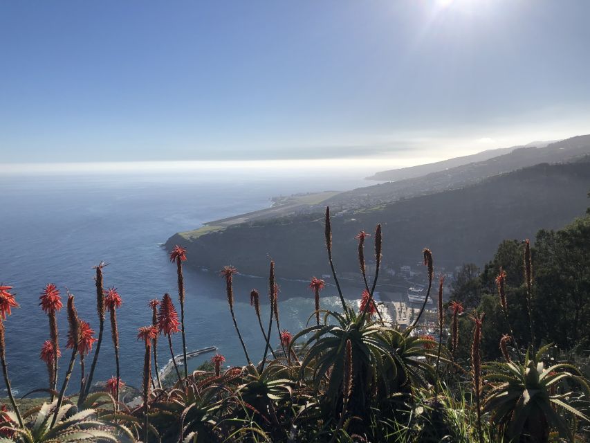 Madeira Island: Full-Day Guided Tour of Eastern Madeira - Is the driving comfortable?