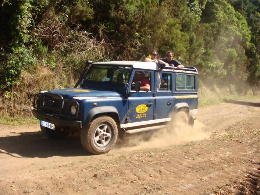 Madeira Island Full-Day Jeep Tours - Why a Jeep is a smart way to see Madeira