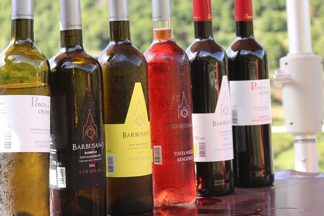 Madeira Island Private Wine Full-day Tour in all terrain vehicle - Quinta do Barbusano and the northwestern vineyards