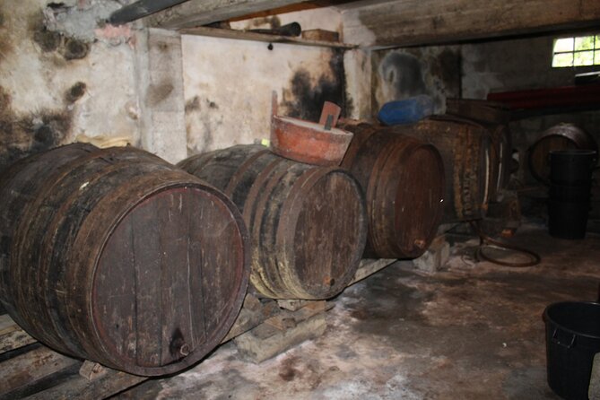 Madeira Island Private Wine Full-day Tour in all terrain vehicle - São Vicente, where vineyards meet the Atlantic