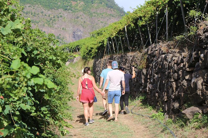 Madeira Island Private Wine Full-day Tour in all terrain vehicle - Câmara de Lobos and a colorful finish