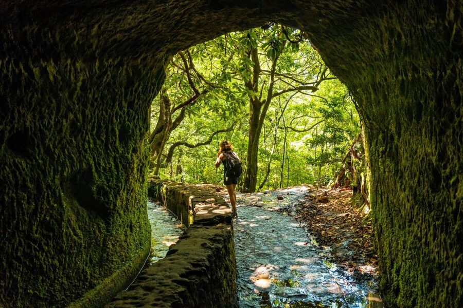 Madeira: Jungle Fever Levada Caldeirao Verde Hike Santana - Key points to know before booking
